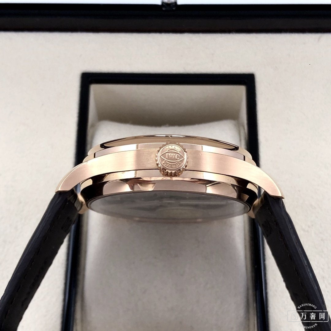 Replica Portuguese Seven-Day Watch Ref IW500113  42.3mm