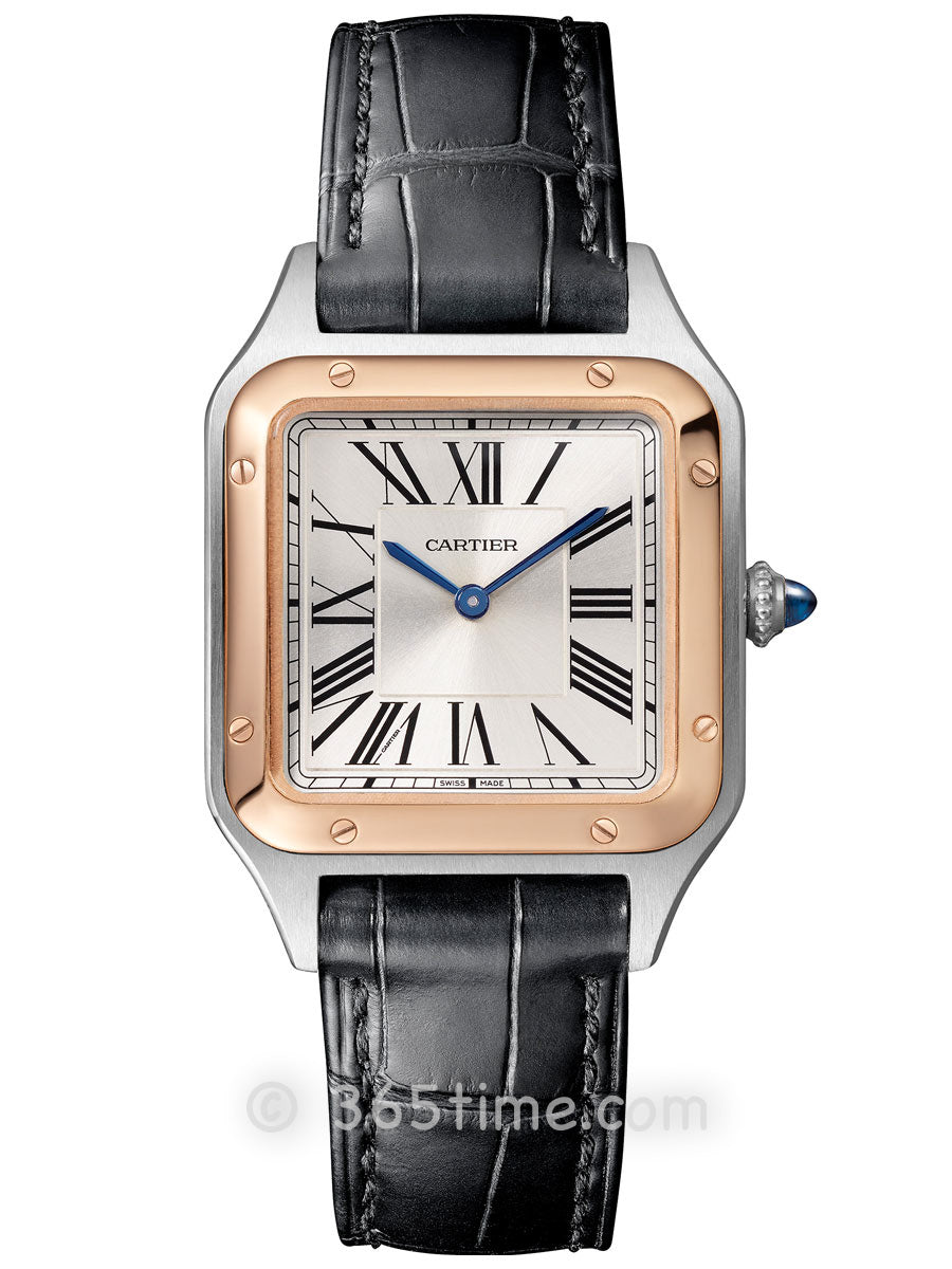 Replica Santos 904l Stainless Steel Quartz Movement Watch 27mm/31mm-1