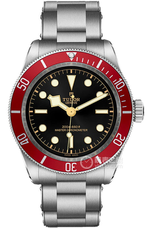 Replica BLACK BAY 904l Stainless Steel Automatic Mechanical Watch 42MM M7941A1A0RU