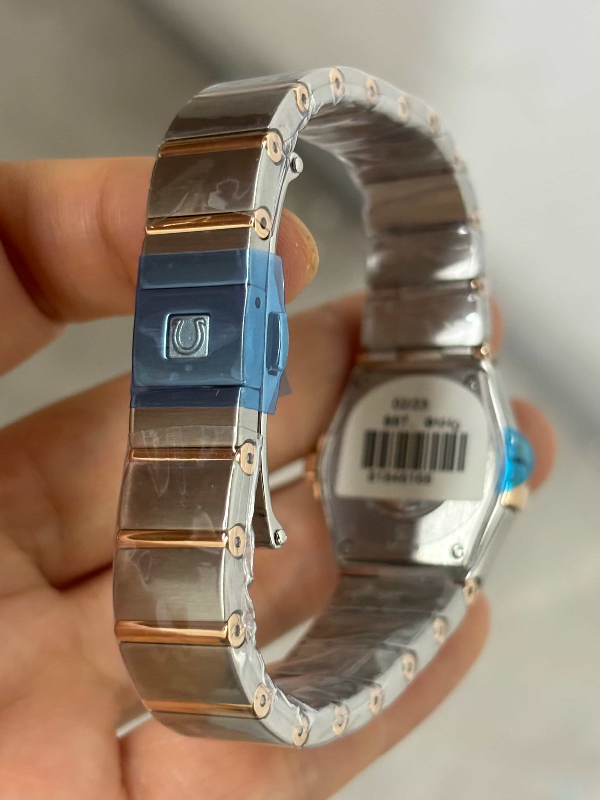Mechanical Watch for Women 27mm OM210